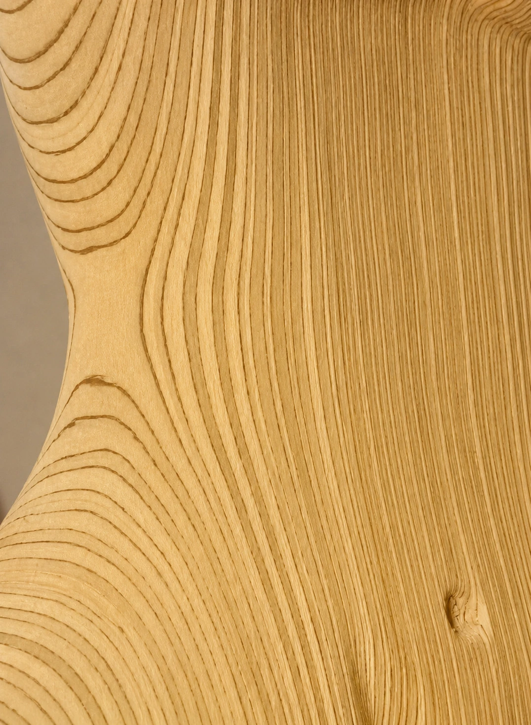 Cernes de vie — détail des strates du bois